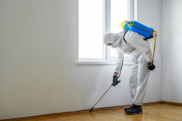 Best Pest Prevention Services  in Spooner, WI
