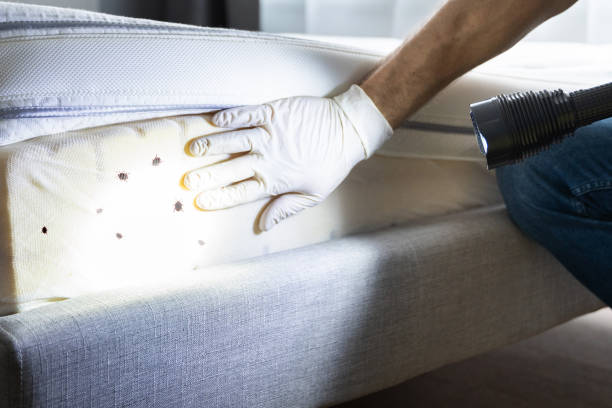 Best Best Pest Control Companies  in Spooner, WI